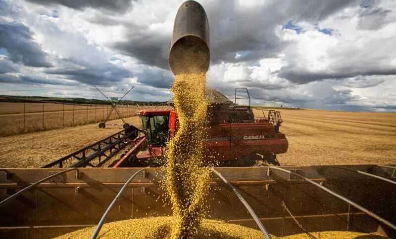 Recorde de Soja à Vista: Abiove Revela Expectativa de Safra Surpreendente com 171,7 Milhões de Toneladas