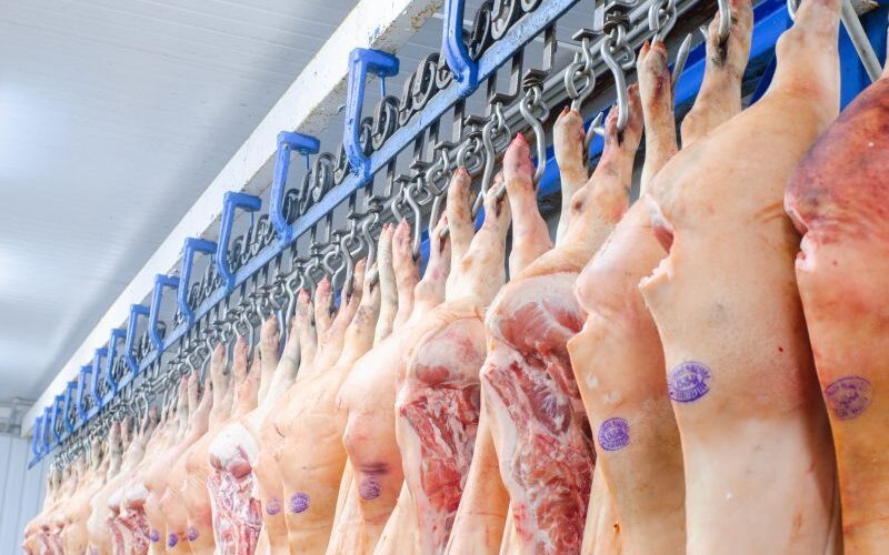 Reino Unido e sua Surpreendente Dependência da Carne Suína da UE: O Que Isso Revela sobre o Futuro da Alimentação?