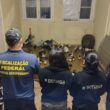 Resgate Emocionante: Vigiagro Salva 60 Aves Ornamentais na Fronteira Brasil-Argentina!