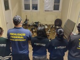 Resgate Emocionante: Vigiagro Salva 60 Aves Ornamentais na Fronteira Brasil-Argentina!