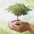 Resinas e Aditivos em Alta: A Revolução da Economia Circular que Está Transformando o Setor!