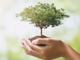 Resinas e Aditivos em Alta: A Revolução da Economia Circular que Está Transformando o Setor!