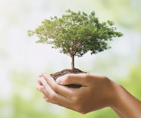 Resinas e Aditivos em Alta: A Revolução da Economia Circular que Está Transformando o Setor!