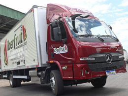 Revitalizando o Transporte: O Poder do Novo Accelo 1117 no Transporte de Hortifrutigranjeiros!