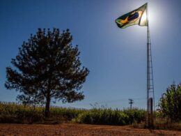 Revolução Agrária: Como Terras Públicas Podem Transformar o Campo Brasileiro