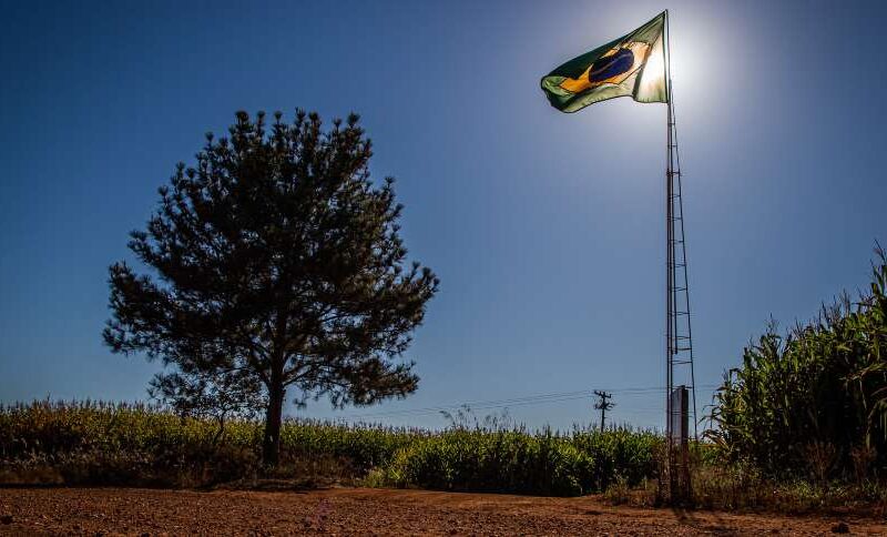 Revolução Agrária: Como Terras Públicas Podem Transformar o Campo Brasileiro