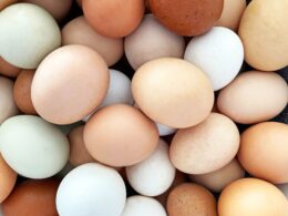 Revolução na Avicultura: Como uma Nova Parceria Está Transformando o Mercado Brasileiro de Produtos!