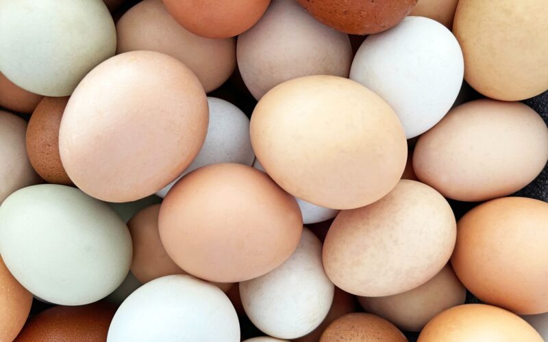 Revolução na Avicultura: Como uma Nova Parceria Está Transformando o Mercado Brasileiro de Produtos!