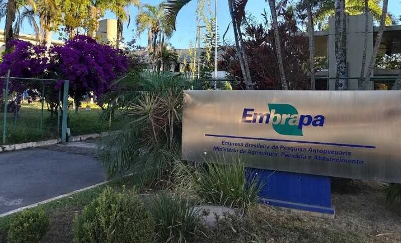Revolução na Embrapa: O Futuro Inovador à Espera de Ação no Mapa