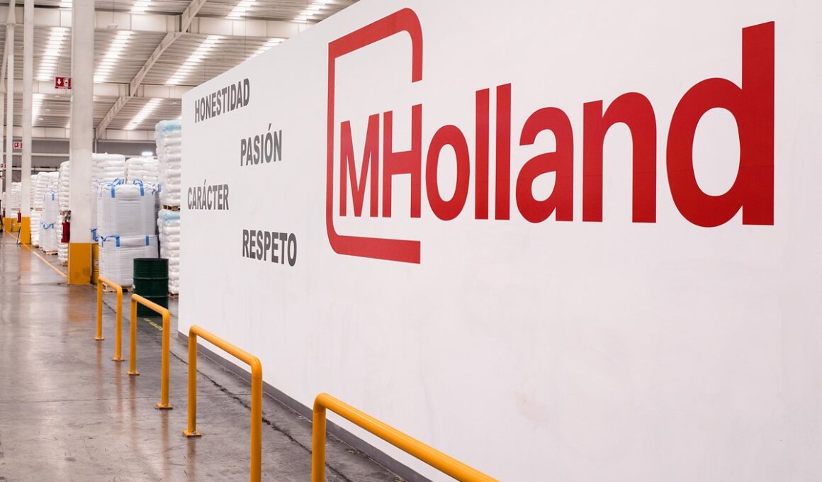 Revolução nas Poliolefinas: M.Holland e Borealis Juntas para Transformar o Mercado Norte-Americano!