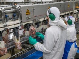 Revolução no Campo: Como a Produção Agroindustrial Alcançou Níveis Inéditos em 14 Anos!