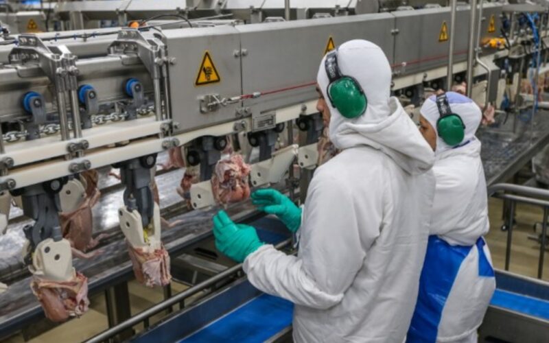 Revolução no Campo: Como a Produção Agroindustrial Alcançou Níveis Inéditos em 14 Anos!