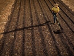 Revolução no Campo: Os Custos de Produção que Estão Transformando a Agricultura Brasileira!