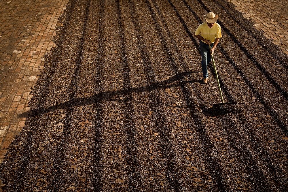 Revolução no Campo: Os Custos de Produção que Estão Transformando a Agricultura Brasileira!