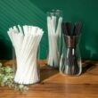Revolução Sustentável: A Nova Canudo Biodegradável que Une Tecnologia e Natureza!