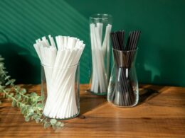 Revolução Sustentável: A Nova Canudo Biodegradável que Une Tecnologia e Natureza!