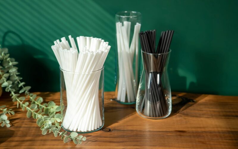 Revolução Sustentável: A Nova Canudo Biodegradável que Une Tecnologia e Natureza!