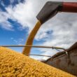 Revolução Verde: Acordo Inovador entre Indústria e Agricultores Transforma a Produção de Soja no Brasil
