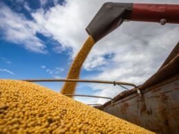 Revolução Verde: Acordo Inovador entre Indústria e Agricultores Transforma a Produção de Soja no Brasil