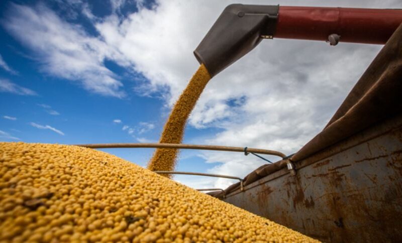 Revolução Verde: Acordo Inovador entre Indústria e Agricultores Transforma a Produção de Soja no Brasil