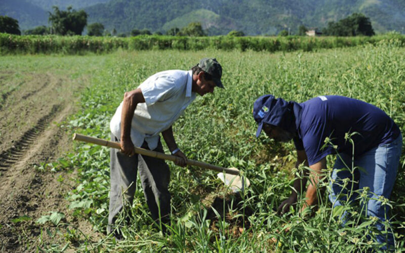 Revolução Verde: As Melhores Propostas da ALMG para Transformar a Agricultura e Proteger o Futuro do Campo!