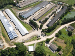 Revolução Verde: Como 70% das Granjas da Seara Estão Transformando a Energia Solar em Lucros Sustentáveis!