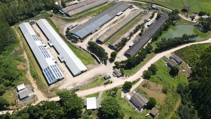 Revolução Verde: Como 70% das Granjas da Seara Estão Transformando a Energia Solar em Lucros Sustentáveis!
