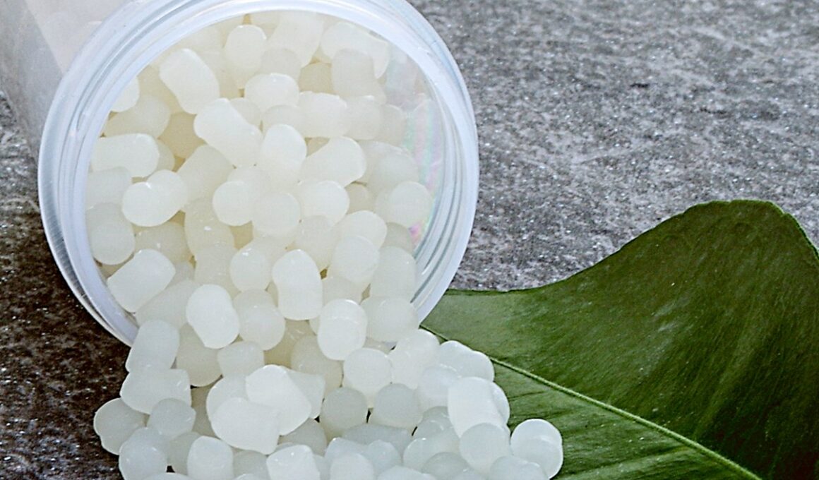 Revolução Verde: Como a Parceria entre Dow e BiologiQ Está Transformando Polímeros em Sustentabilidade