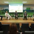Revolução Verde: Como o Sistema Plantio Direto Está Transformando a Agricultura no Brasil