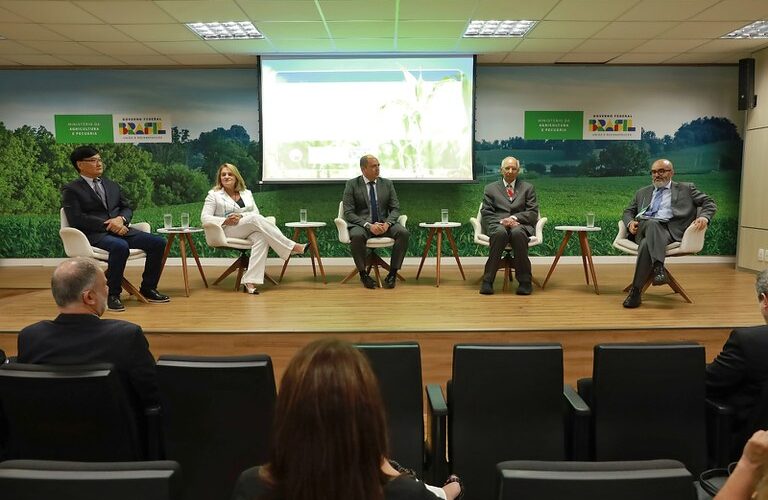 Revolução Verde: Como o Sistema Plantio Direto Está Transformando a Agricultura no Brasil