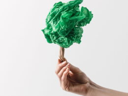 Revolução Verde: Como Plásticos Biodegradáveis Transformam o Futuro do Consumo e Salvam Nosso Planeta