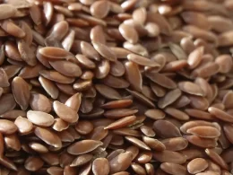 Revolução Verde: Conheça o Bioplástico Inovador Feito de Alimentos que Pode Transformar o Futuro Sustentável!