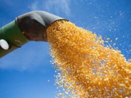 Revolução Verde: Expansão do Etanol de Milho Promete Prosperidade e Sustentabilidade ao Setor Agrícola