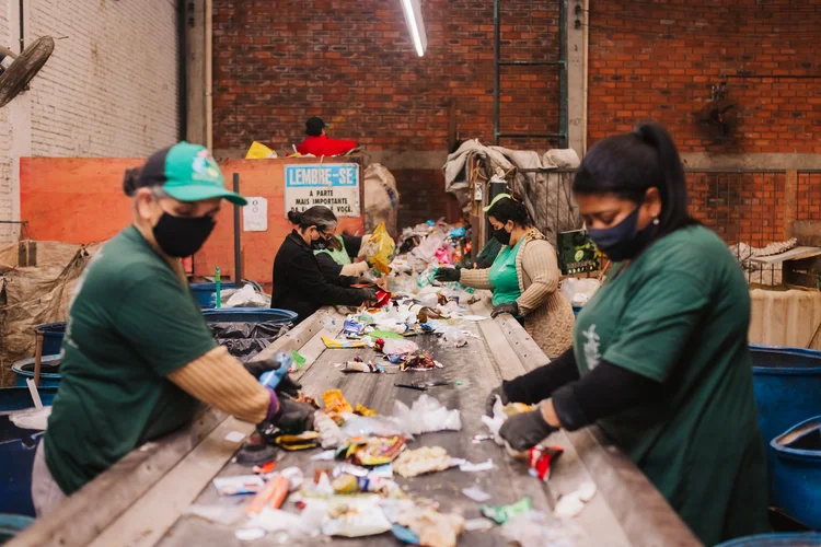 Revolução Verde: Fungos, Mar e Moda — Como Gigantes Estão Transformando o Plástico em Soluções Sustentáveis!
