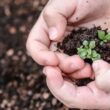 Revolução Verde: Nova Lei de Bioinsumos Aprovada Promete Transformar a Agricultura!