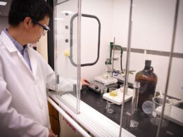 Revolução Verde: O Futuro dos EPIs Sustentáveis que Estão Transformando a Segurança Pessoal