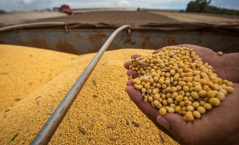 Revolução Verde: O Pacto que Transforma o Futuro da Soja e Enterra a Moratória de Vez!