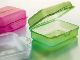 Revolução Verde: Poliolefinas Premium Feitas de Matéria-Prima Renovável Transformam o Futuro dos Materiais!