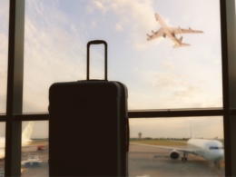 Revolutionando a Segurança: Como o Sisbraip Transforma a Fiscalização Agropecuária nos Aeroportos do Brasil!