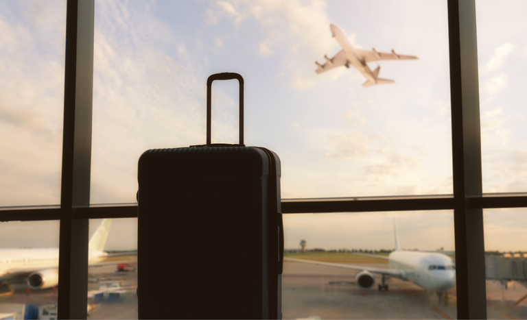 Revolutionando a Segurança: Como o Sisbraip Transforma a Fiscalização Agropecuária nos Aeroportos do Brasil!
