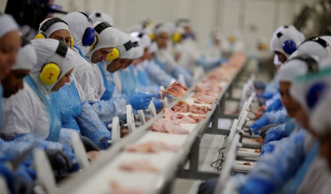 RS faz coleta de amostras em frigorífico; objetivo não divulgado.