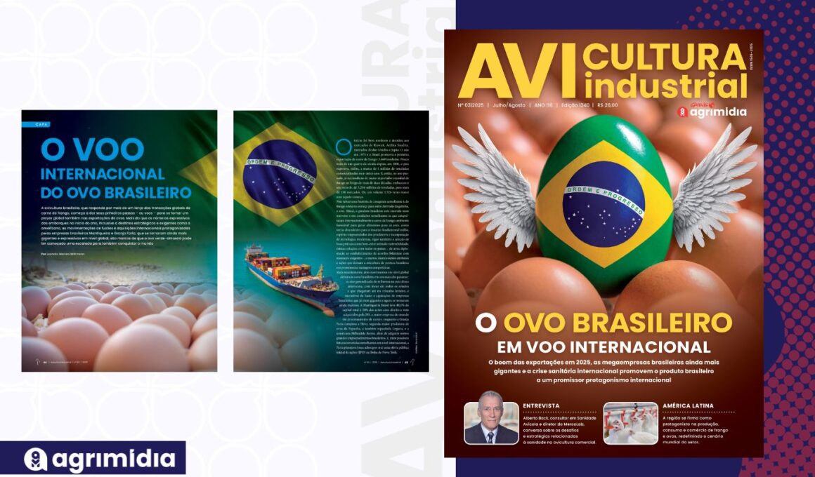 Rumo a player global: o voo do ovo brasileiro para mercados premium e margens maiores