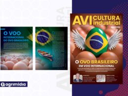 Rumo a player global: o voo do ovo brasileiro para mercados premium e margens maiores