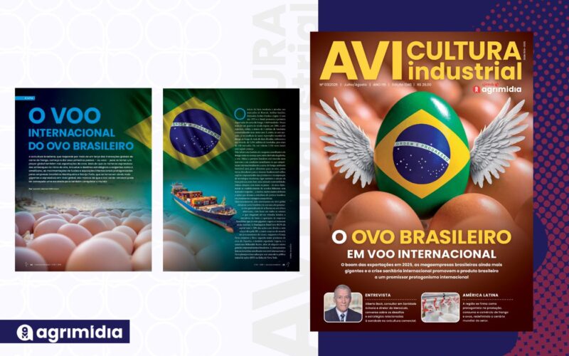 Rumo a player global: o voo do ovo brasileiro para mercados premium e margens maiores