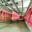 Rússia Supera Expectativas: O Impressionante Boom nas Exportações de Carne Suína que Está Mudando o Mercado!