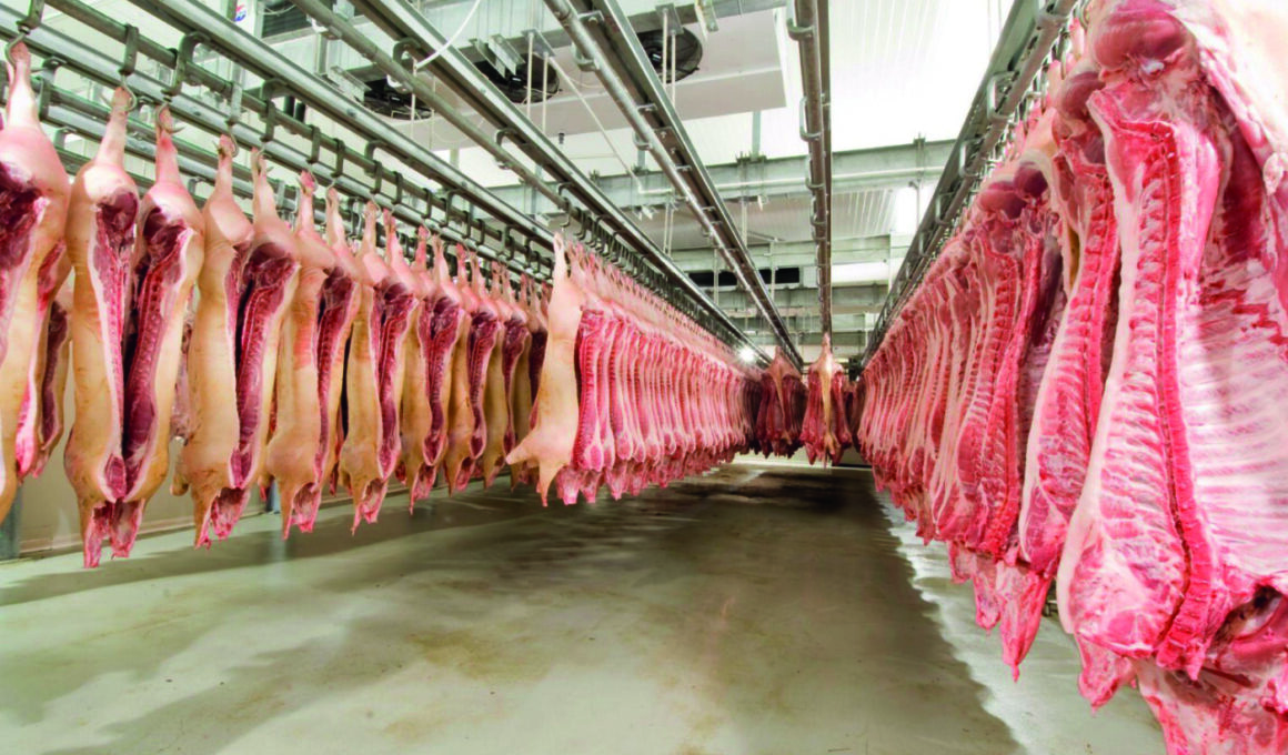 Rússia Supera Expectativas: O Impressionante Boom nas Exportações de Carne Suína que Está Mudando o Mercado!