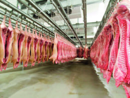 Rússia Supera Expectativas: O Impressionante Boom nas Exportações de Carne Suína que Está Mudando o Mercado!