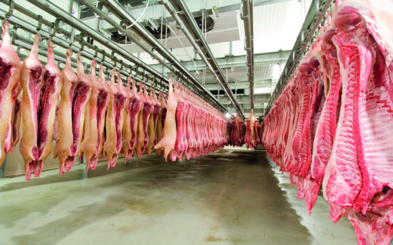 Rússia Supera Expectativas: O Impressionante Boom nas Exportações de Carne Suína que Está Mudando o Mercado!