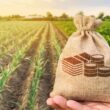 Safra 2025 em Alta: Aproveite os R$ 10 Milhões em Subvenção ao Seguro Rural do Paraná!