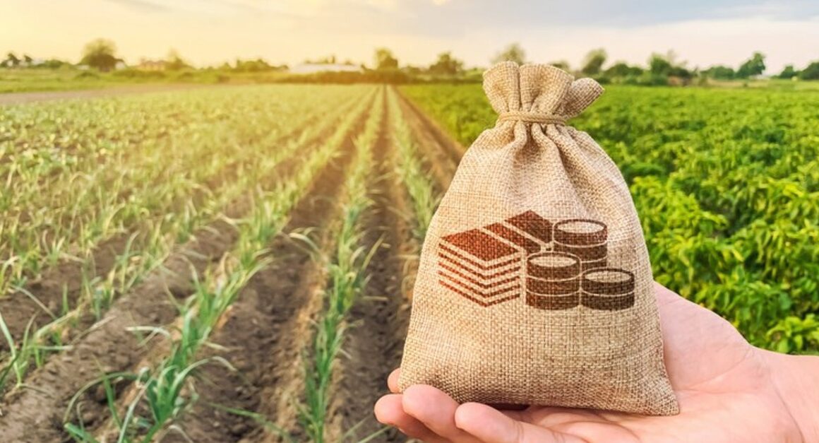 Safra 2025 em Alta: Aproveite os R$ 10 Milhões em Subvenção ao Seguro Rural do Paraná!